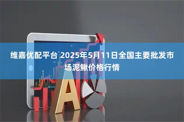 维嘉优配平台 2025年5月11日全国主要批发市场泥鳅价格行情