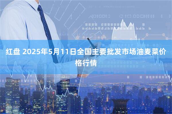 红盘 2025年5月11日全国主要批发市场油麦菜价格行情