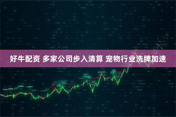 好牛配资 多家公司步入清算 宠物行业洗牌加速