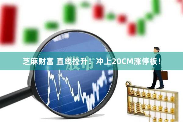 芝麻财富 直线拉升！冲上20CM涨停板！