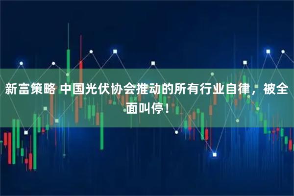 新富策略 中国光伏协会推动的所有行业自律，被全面叫停！