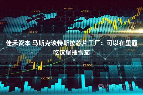 佳禾资本 马斯克谈特斯拉芯片工厂：可以在里面吃汉堡抽雪茄