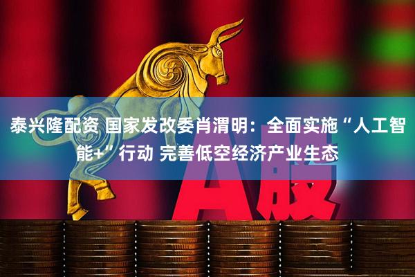 泰兴隆配资 国家发改委肖渭明：全面实施“人工智能+”行动 完善低空经济产业生态