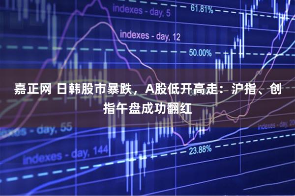 嘉正网 日韩股市暴跌，A股低开高走：沪指、创指午盘成功翻红