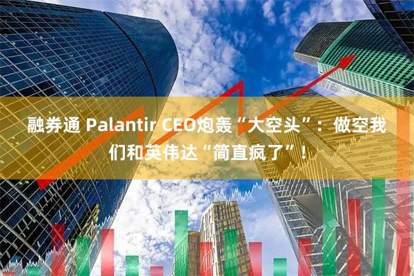 融券通 Palantir CEO炮轰“大空头”：做空我们和英伟达“简直疯了”！