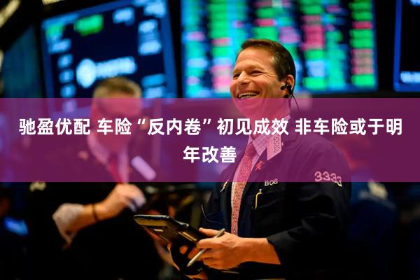 驰盈优配 车险“反内卷”初见成效 非车险或于明年改善
