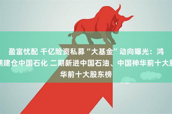 盈富忧配 千亿险资私募“大基金”动向曝光：鸿鹄三期建仓中国石化 二期新进中国石油、中国神华前十大股东榜